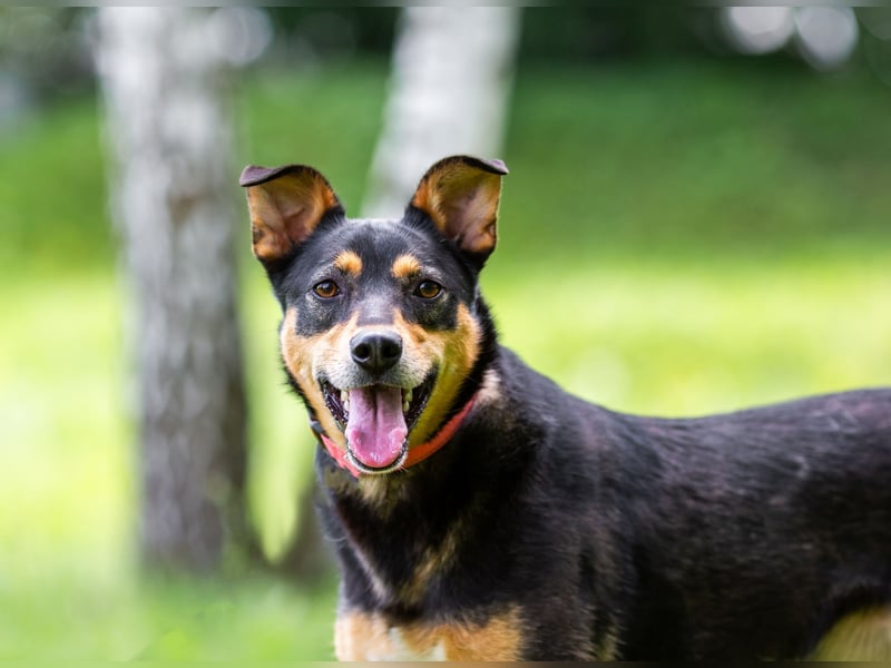 Ruhige Mulya sucht dich ...