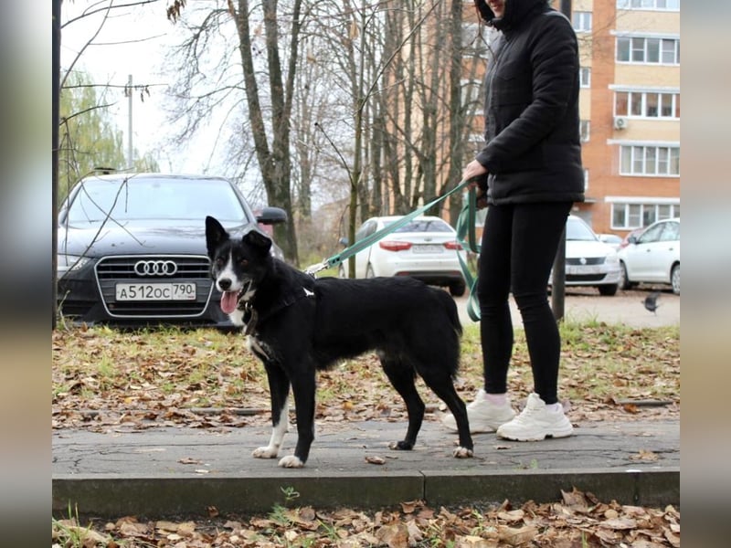 Mike sucht Traumzuhause