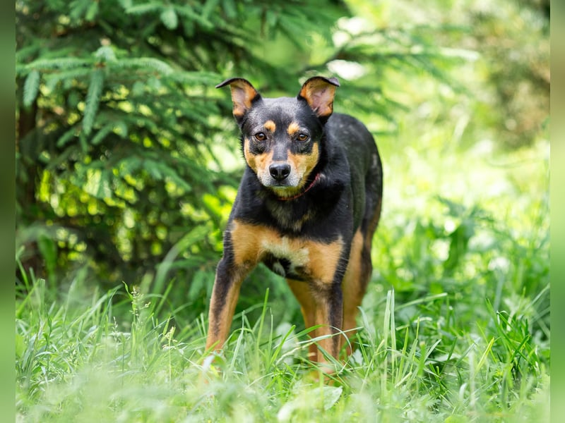 Ruhige Mulya sucht dich ...