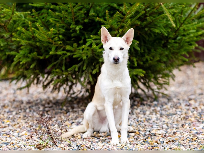 Wer nimmt Mickey in sein Leben..?!