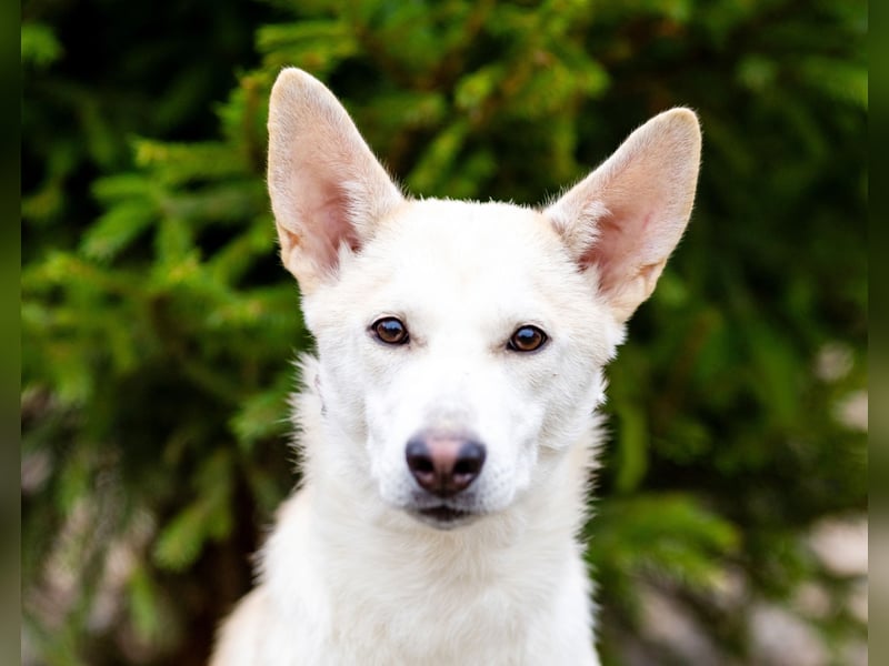 Wer nimmt Mickey in sein Leben..?!