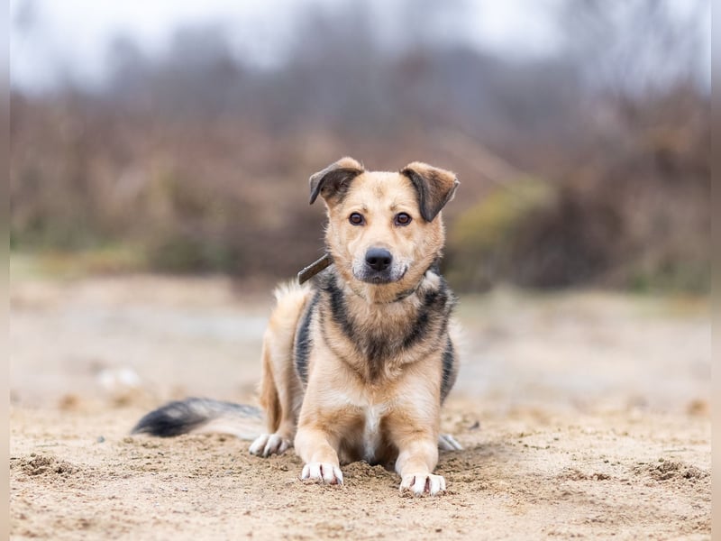 Mit wem kann Nora durch dick und dünn gehen?!