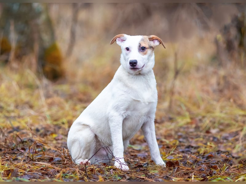 Aufgeschlossener Lord sucht aufgeschlossene Menschen