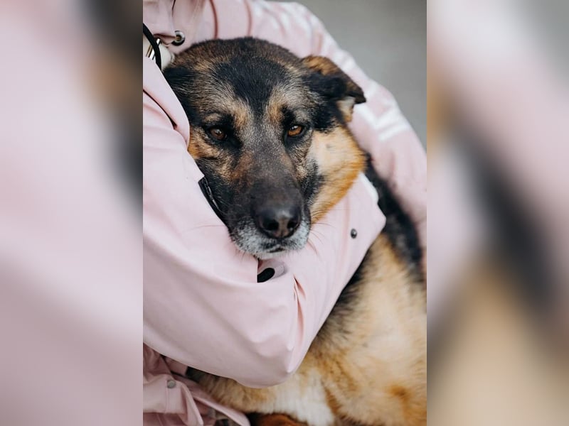 Schöne Sheila sucht traum zuhause