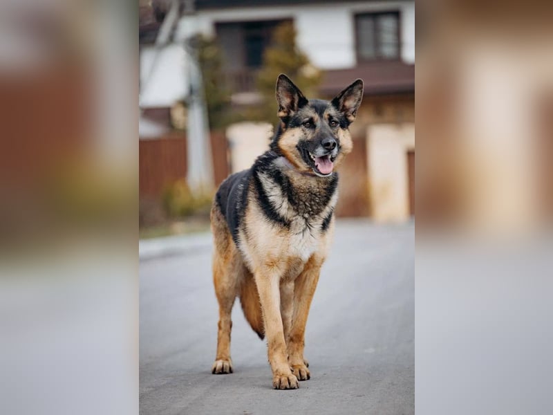 Schöne Sheila sucht traum zuhause