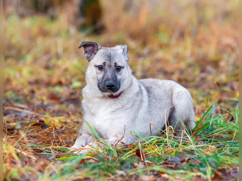 Iriska sucht liebe Menschen