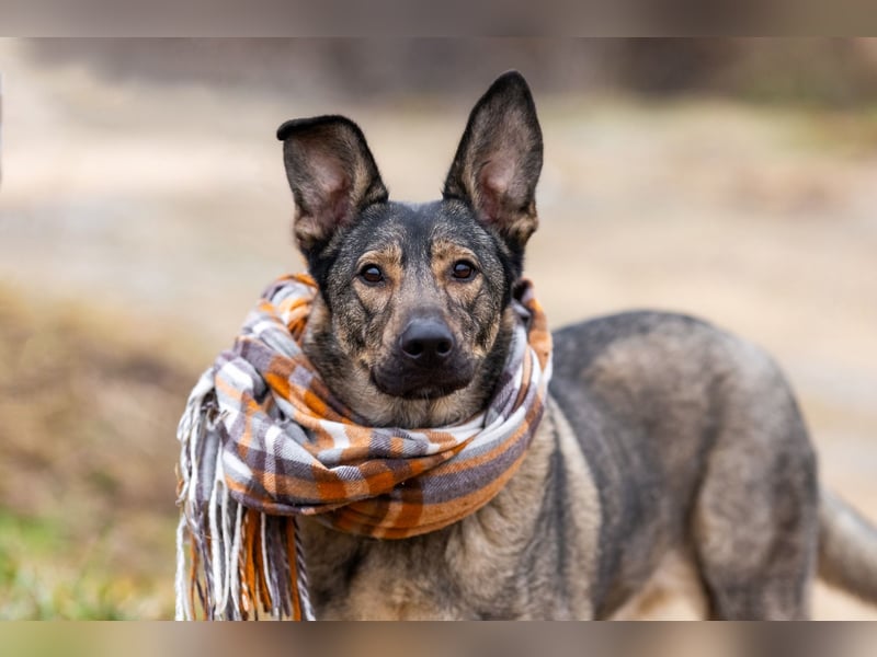 Laura wünscht sich eine aktive Familie