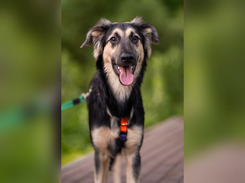 Der mutige Philip sucht seine Menschen