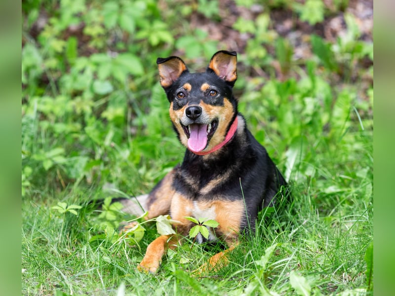 Ruhige Mulya sucht dich ...