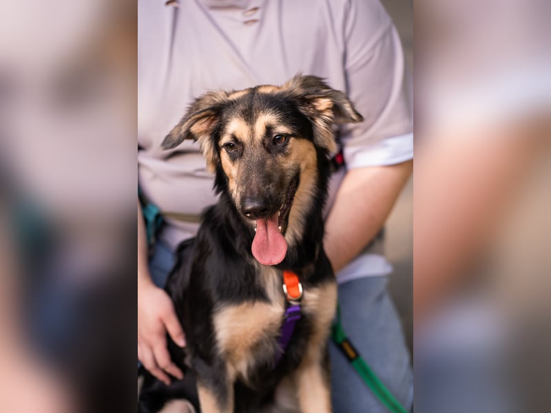 Der mutige Philip sucht seine Menschen