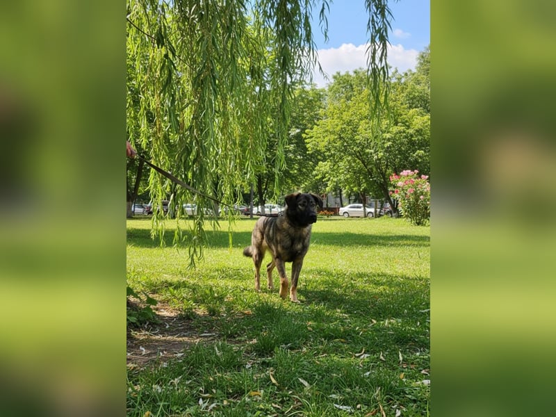 Selbstbewusste Tosya sucht aktive Menschen