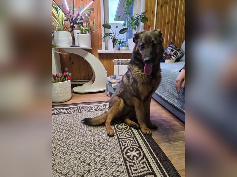 Ein Herz für Vasilisa geben Sie ihr eine Chance auf ein glückliches Leben!