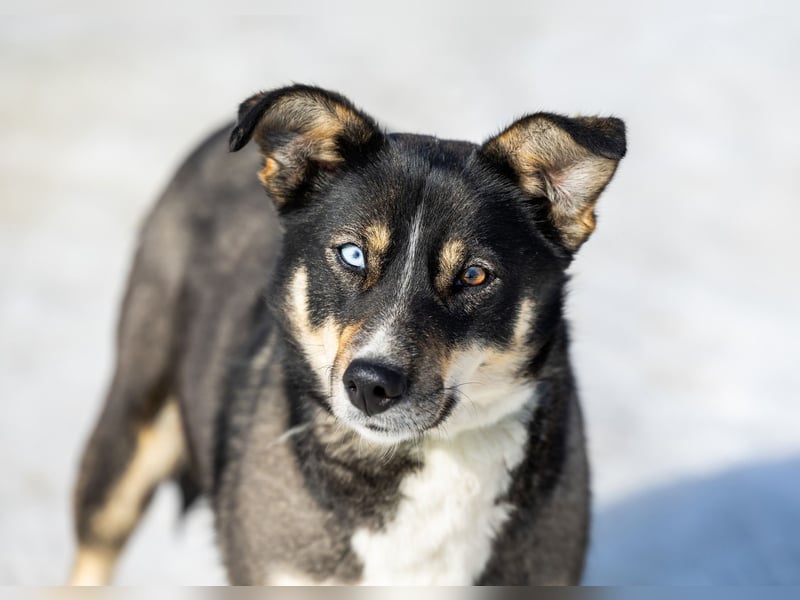 Schöne Sheila sucht traum zuhause