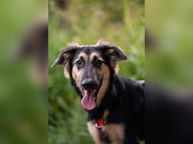 Der mutige Philip sucht seine Menschen