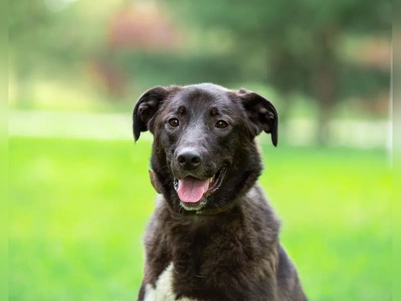 Betty will nur wärme und liebe...