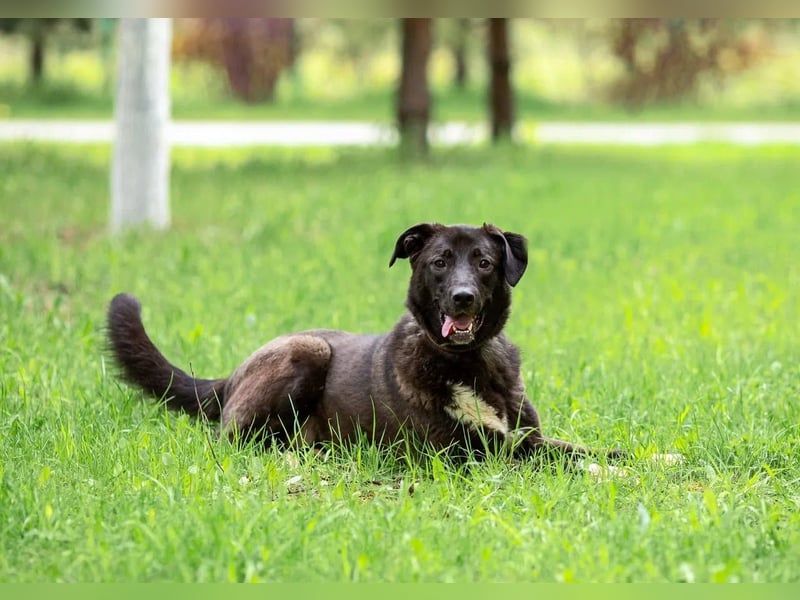 Betty will nur wärme und liebe...