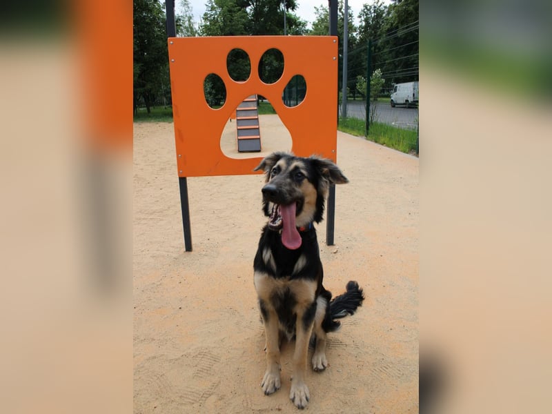 Der mutige Philip sucht seine Menschen