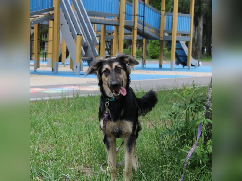 Der mutige Philip sucht seine Menschen