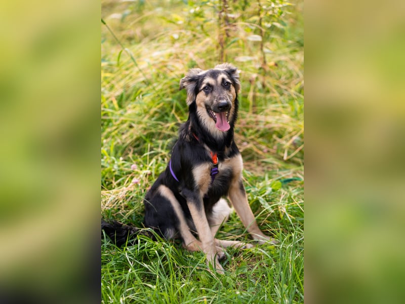 Der mutige Philip sucht seine Menschen