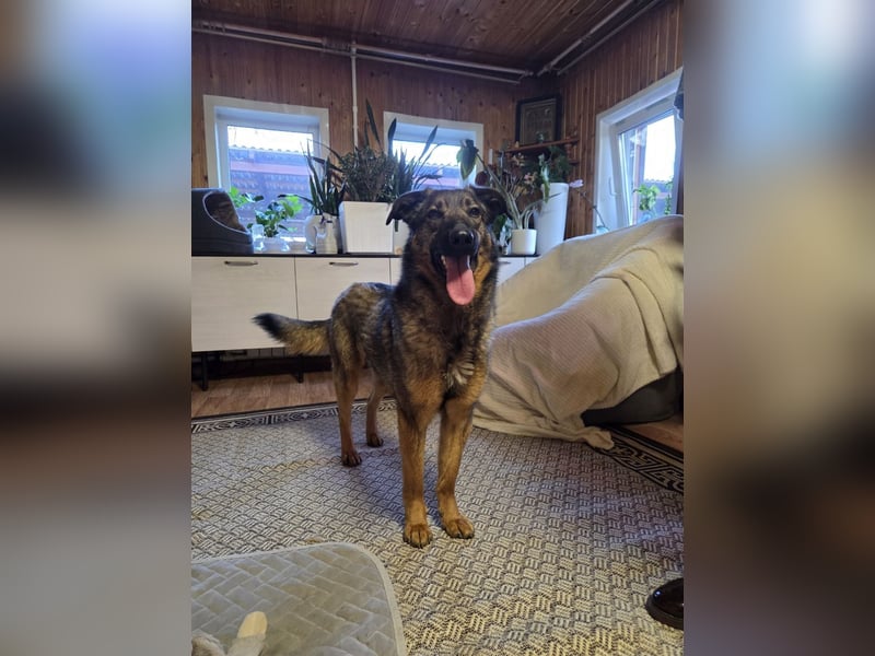 Ein Herz für Vasilisa geben Sie ihr eine Chance auf ein glückliches Leben!