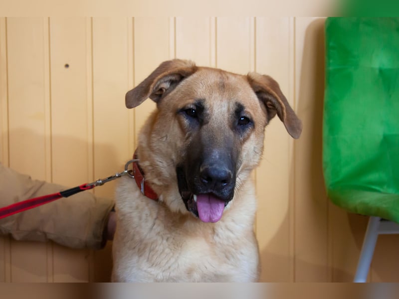 Junge hübsche Leia sucht Familie