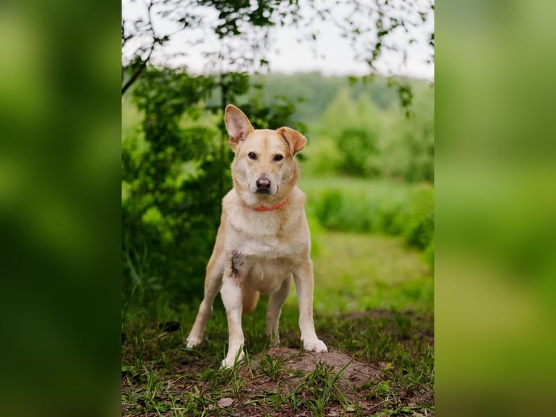 Ausgewogene Mona sucht Familie
