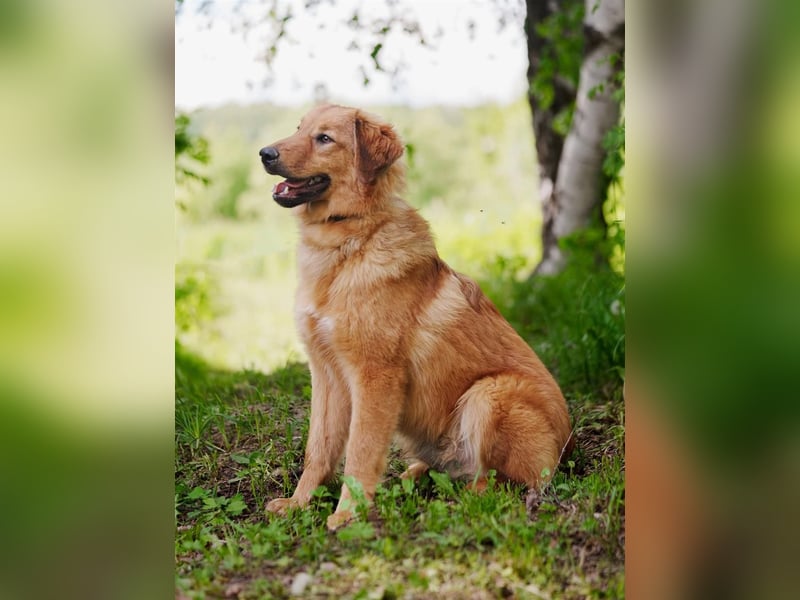 Freundlicher Zigzag sucht freundliche Menschen