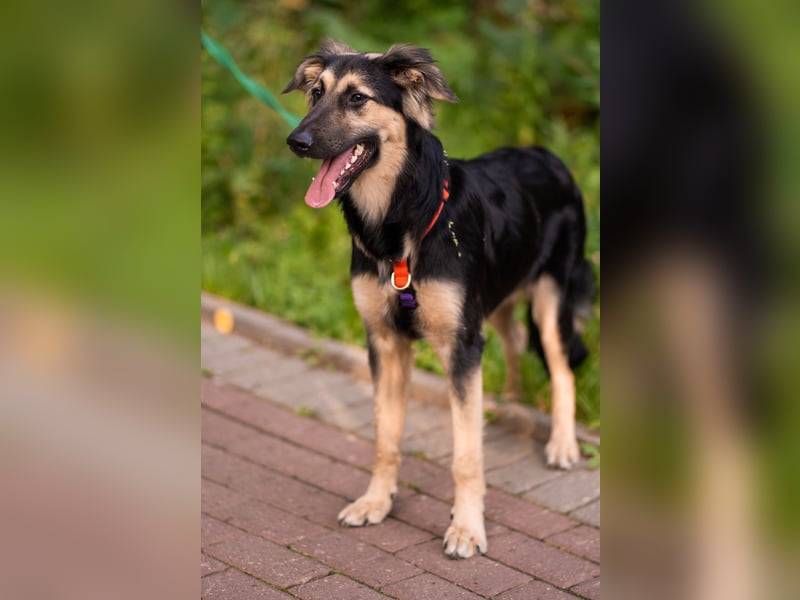 Der mutige Philip sucht seine Menschen