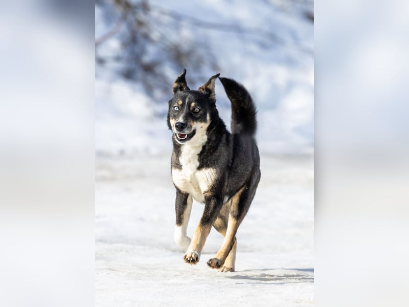 Schöne Sheila sucht traum zuhause