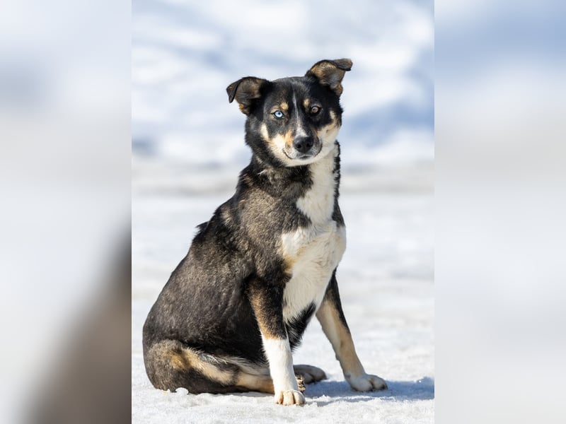 Schöne Sheila sucht traum zuhause