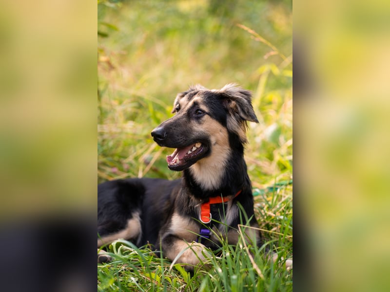 Der mutige Philip sucht seine Menschen