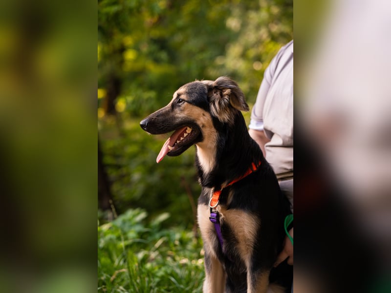 Der mutige Philip sucht seine Menschen