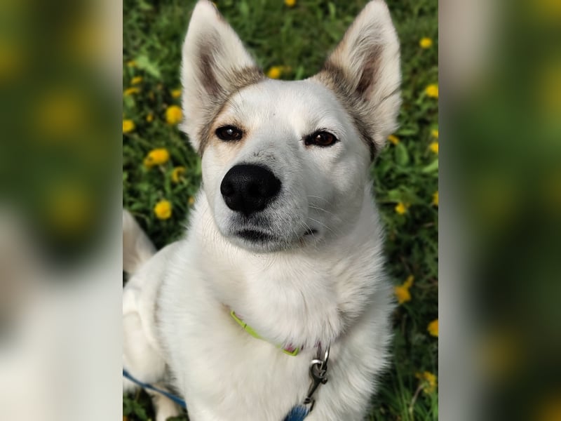 Hallo, ich bin Bella!