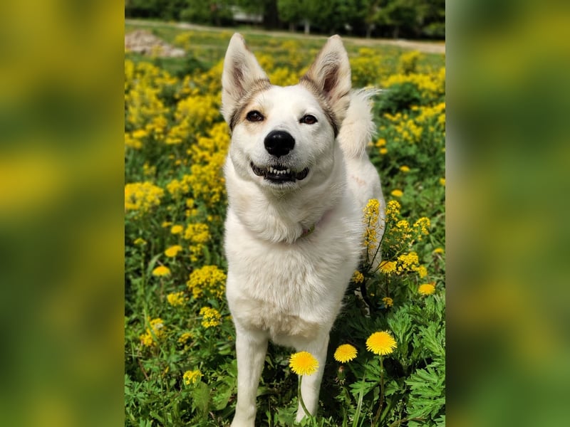 Hallo, ich bin Bella!