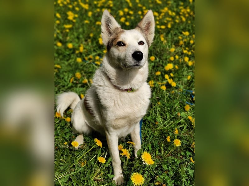 Hallo, ich bin Bella!
