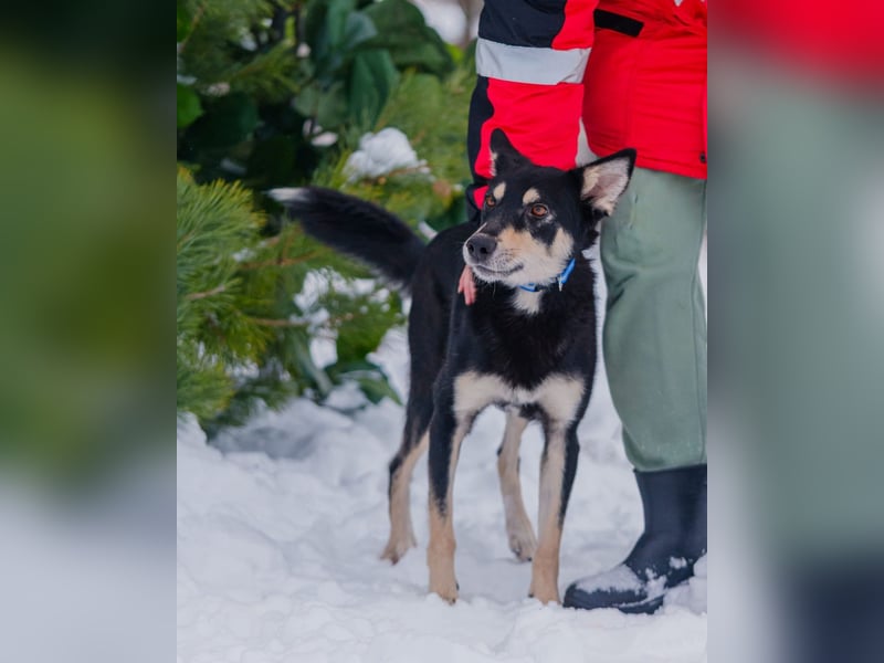 Chop sucht seine Familie