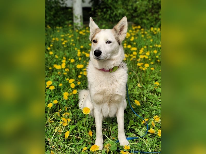 Hallo, ich bin Bella!