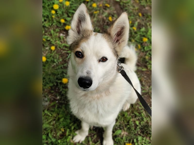 Hallo, ich bin Bella!