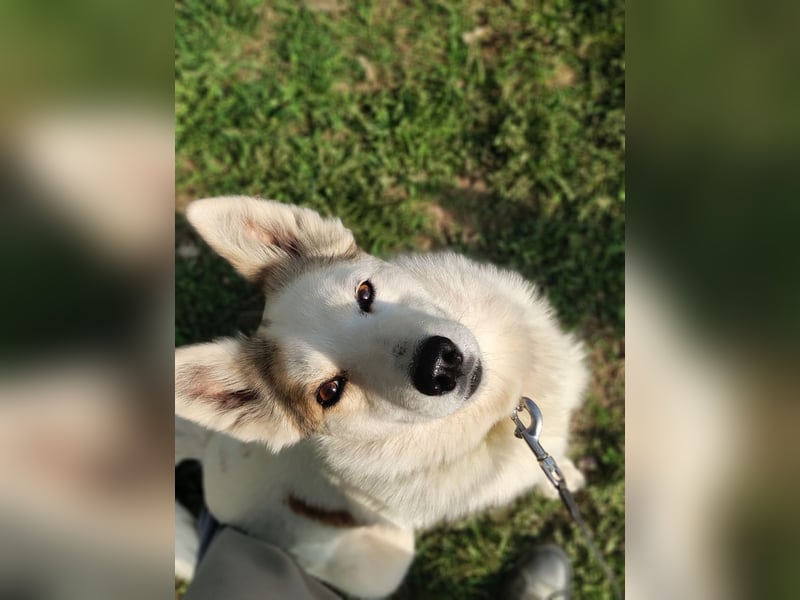 Hallo, ich bin Bella!