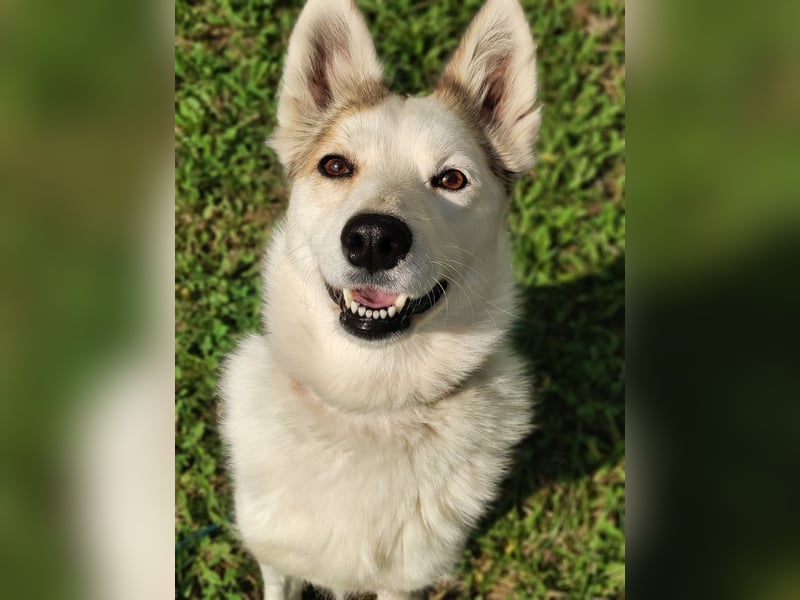 Hallo, ich bin Bella!