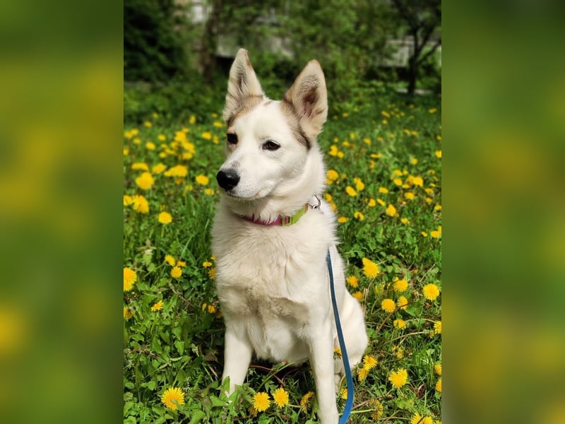 Hallo, ich bin Bella!