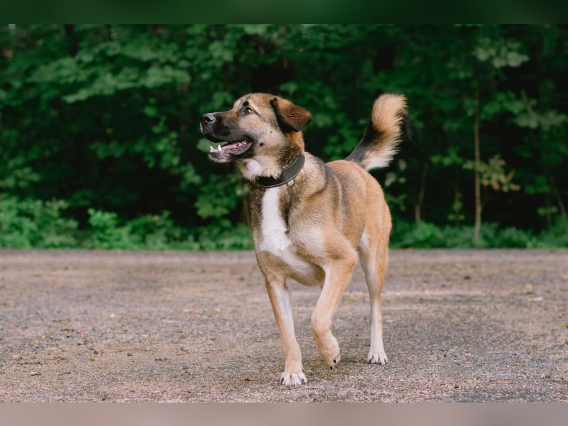 Aksi möchte ihre ganze Liebe zeigen