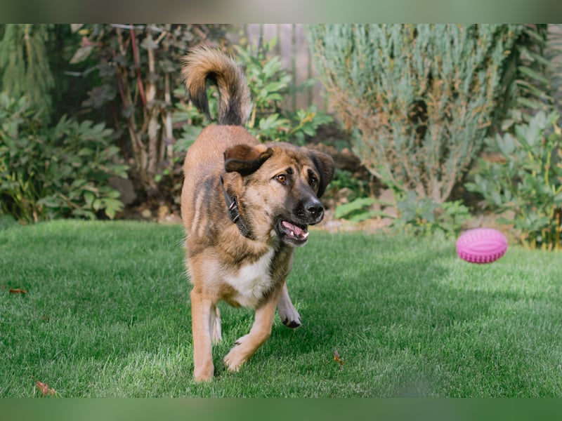 Aksi möchte ihre ganze Liebe zeigen