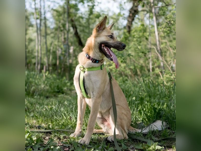Archie möchte das Leben leben