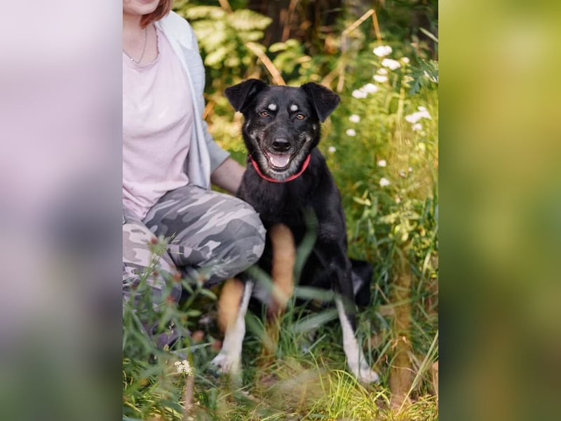 Amy sucht jetzt ihre neue Familie