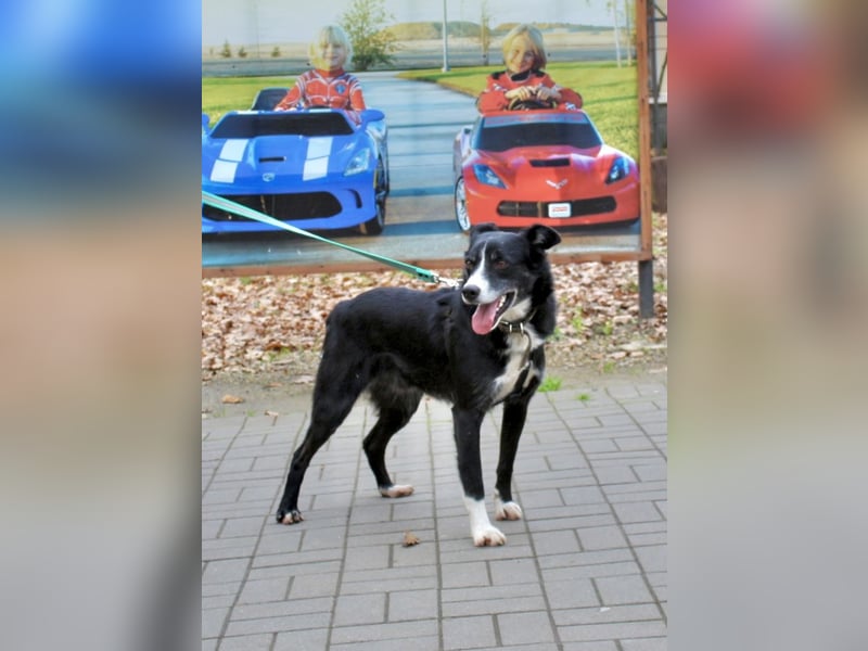 Mike sucht Traumzuhause