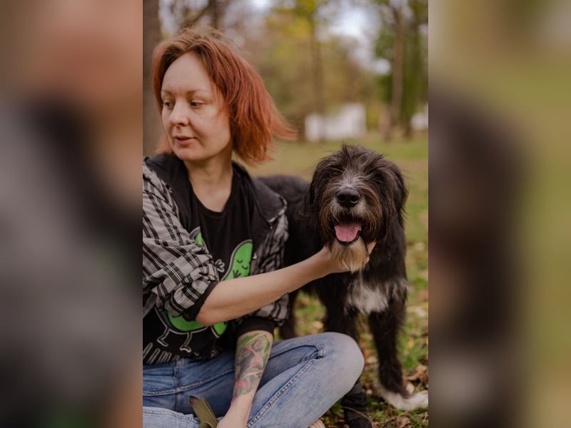Harley ist ein Hund mit besonderen Bedürfnissen, der ein Zuhause sucht.