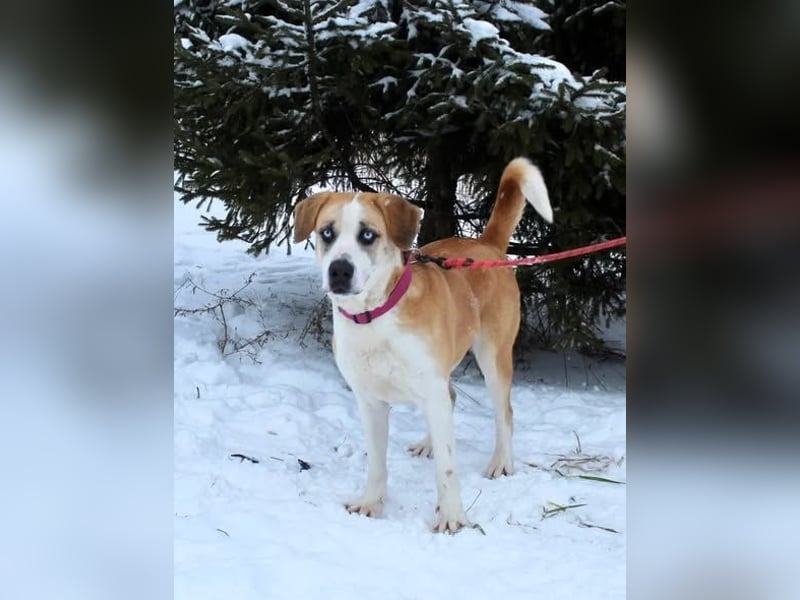 Jessie sucht ein aktives Leben