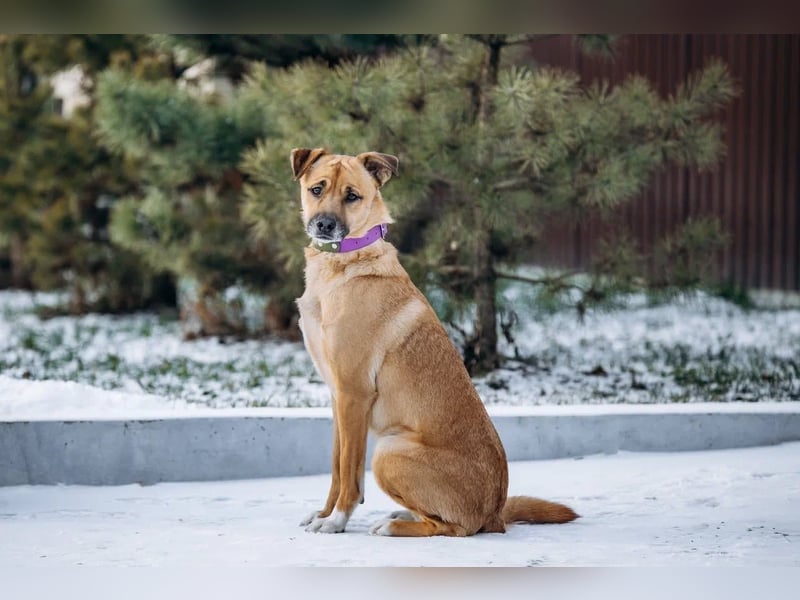 Kasper der wunderschöne...
