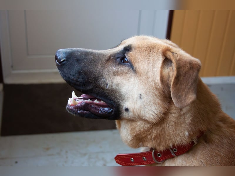 Junge hübsche Leia sucht Familie